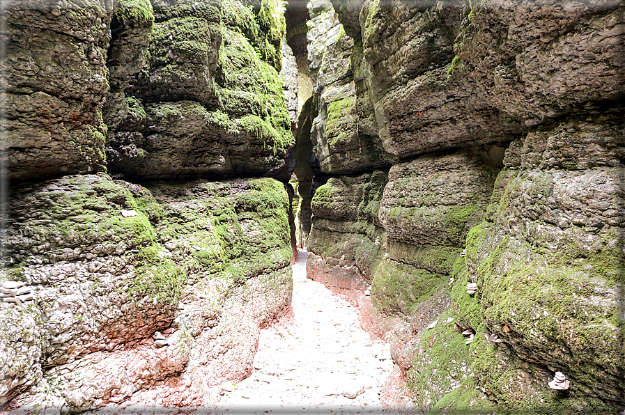 foto Canyon del Buso Vecio